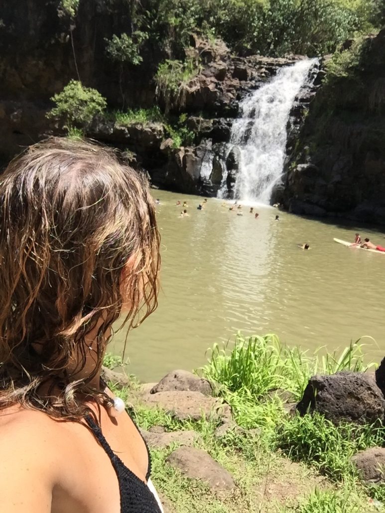 The Waihī Waterfall