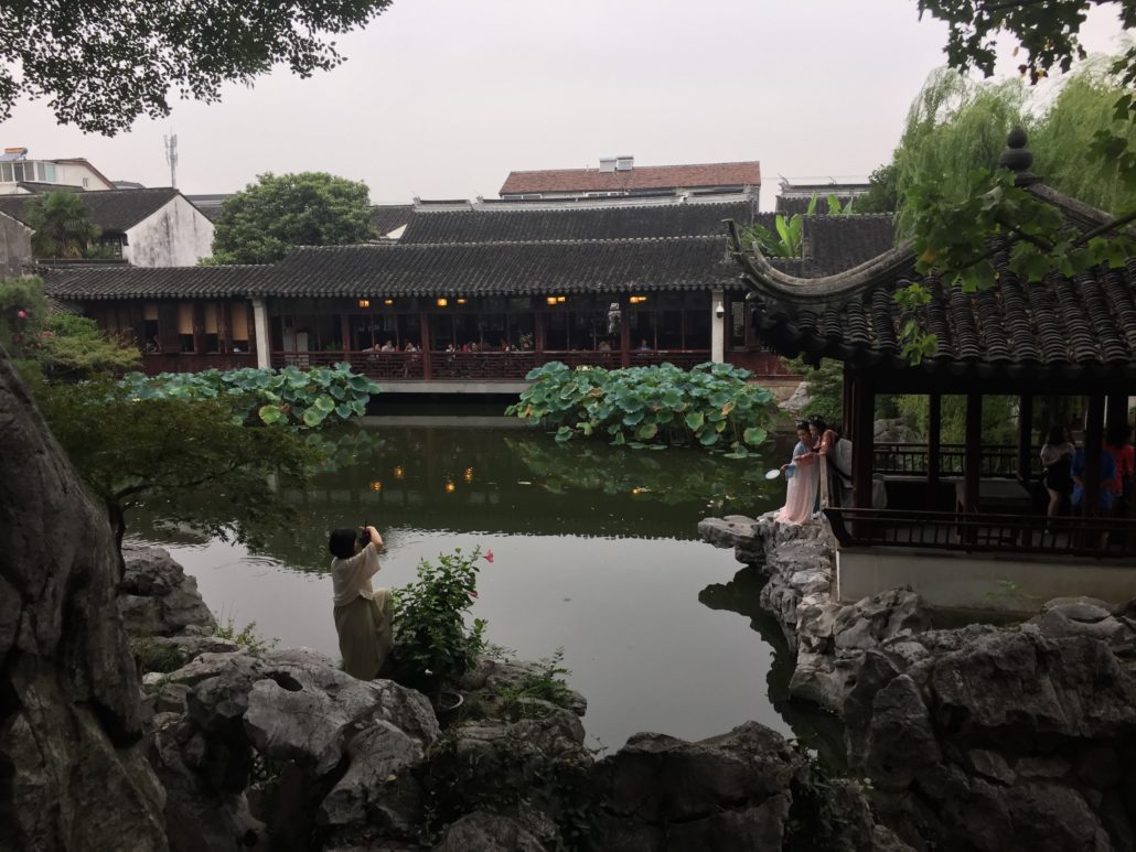 Garden of Cultivation Suzhou