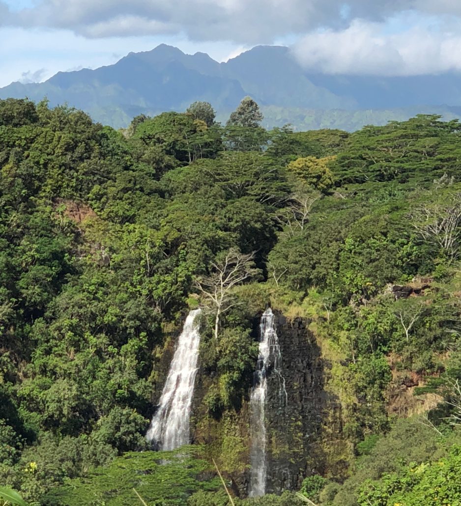 Opaekaa Falls Kauai