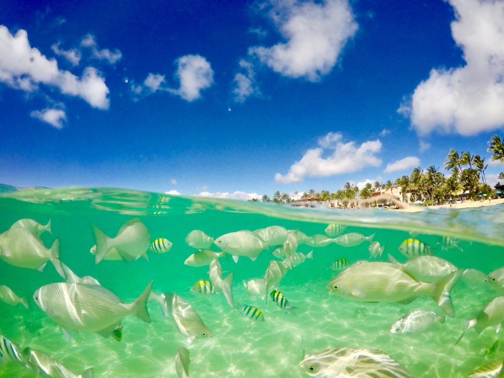 Underwater snorkeling Poipu Beach