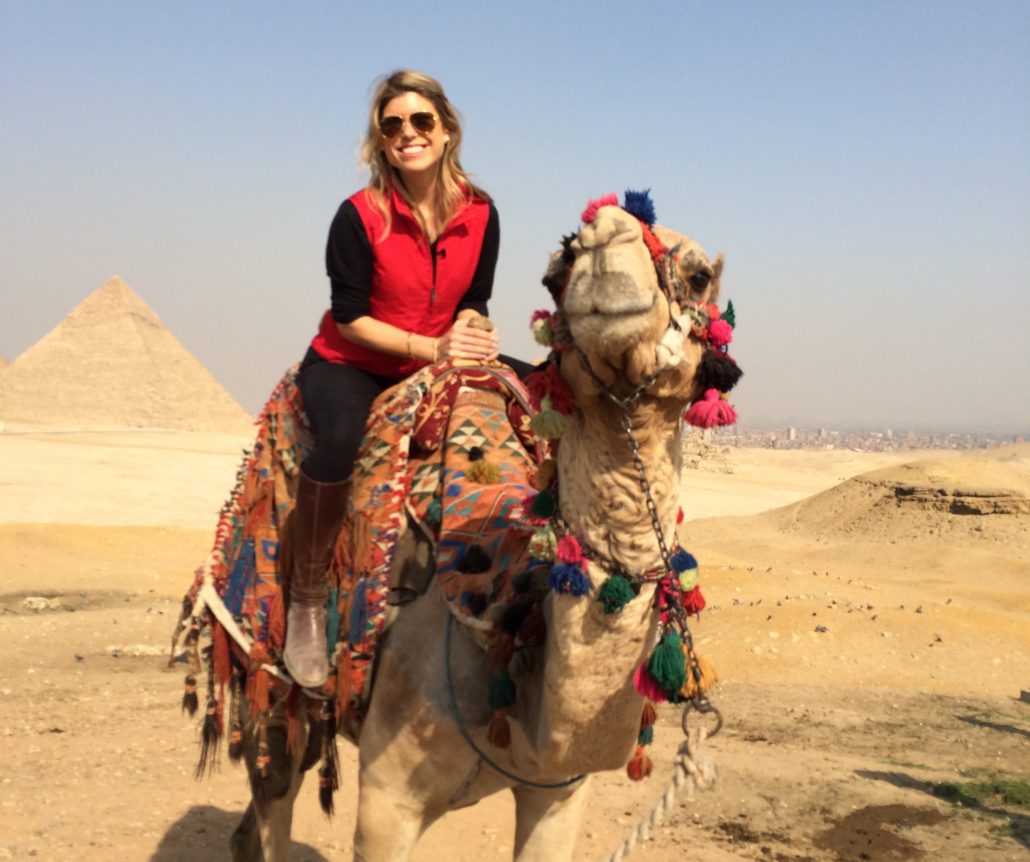 Egypt Giza Camel
