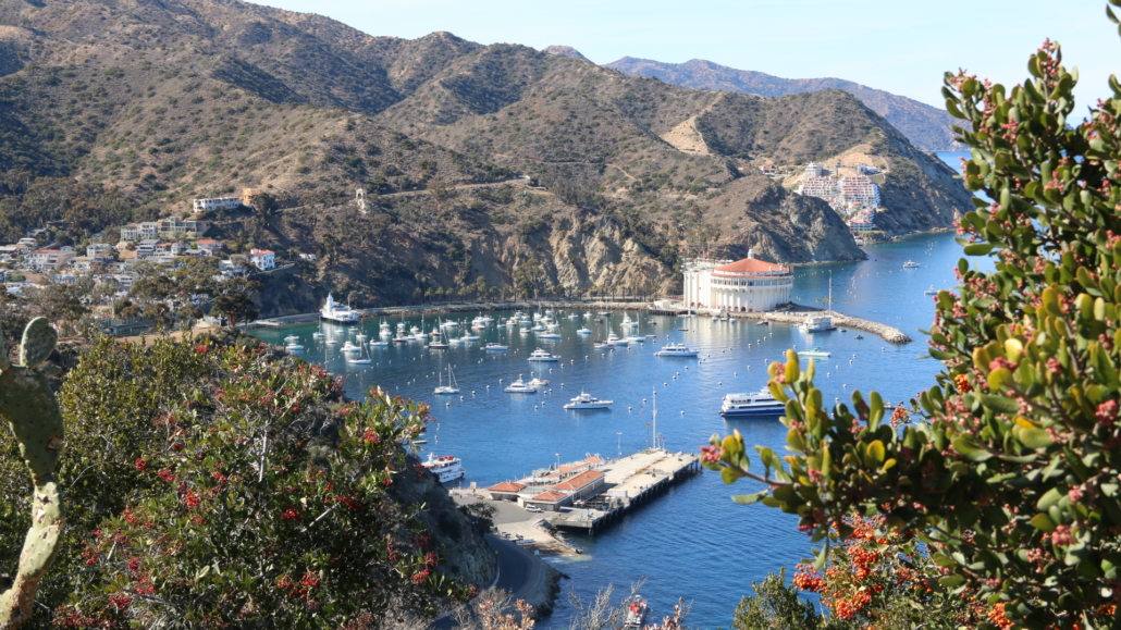 Avalon Harbor Catalina Island