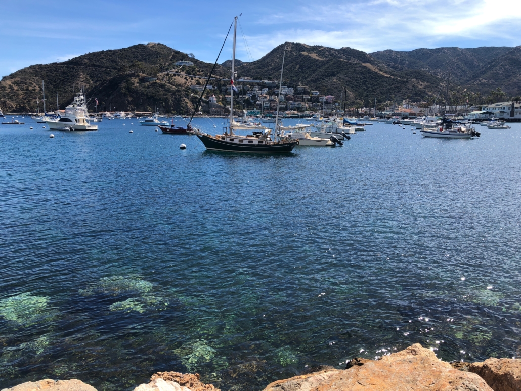 Avalon Harbor Catalina Island