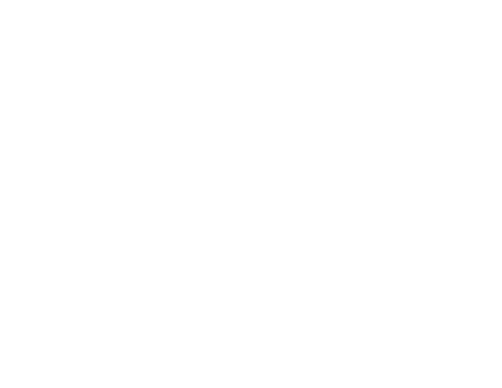 Kelley Ferro