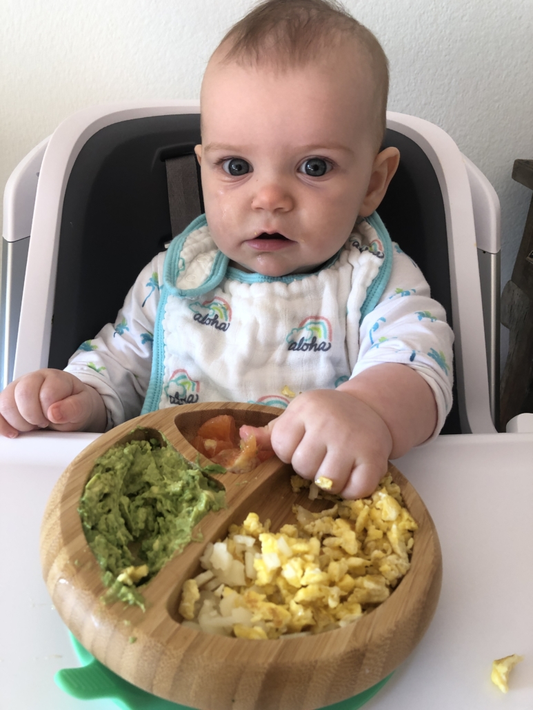 Baby Led Weaning vs Purées – Kelley Ferro