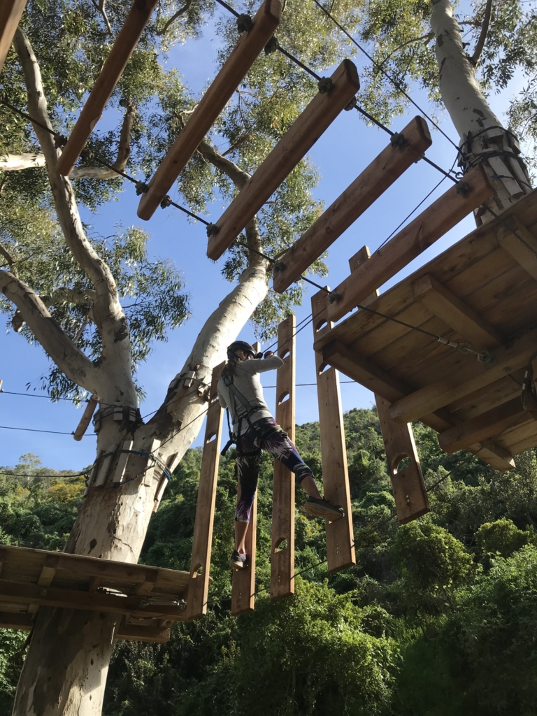 The Catalina Island Guide For Everyone – Kelley Ferro